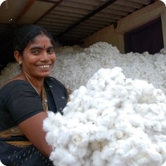 A lady with raw cotton